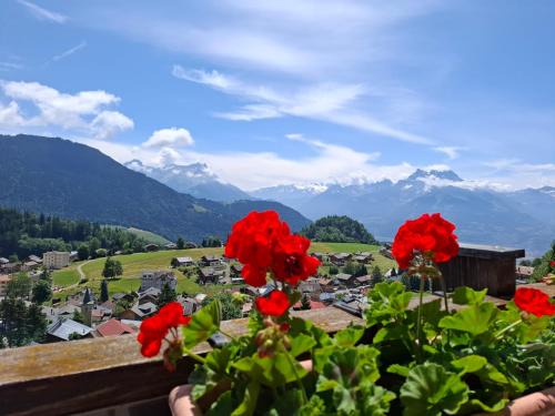 Le Nid d'aigle apt Leysin centre avec forfait piscine sauna jacuzzi en option