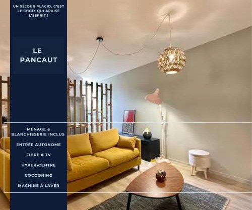 LE PANCAUT- Chaleureux - Hyper Centre