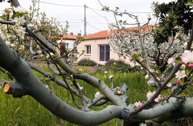 Le Pavillon: Holidays and Hikes, Thermal Cures, Heritage and Festivals