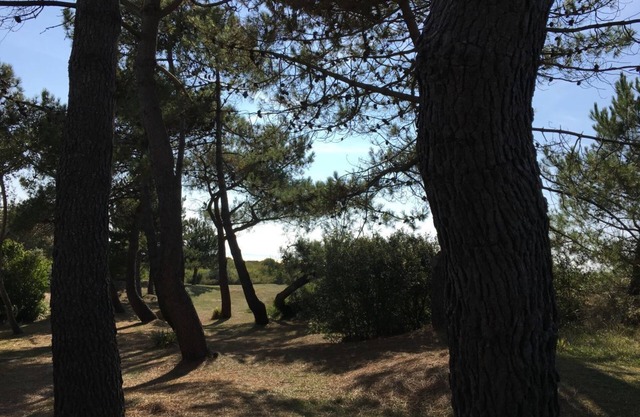 Le Petit Hameau - Close to the beach and the town of Carteret - 2 bedrooms
