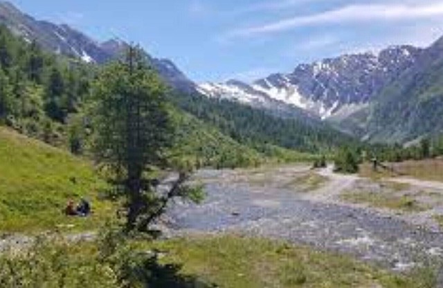 Le Petit Montagnard