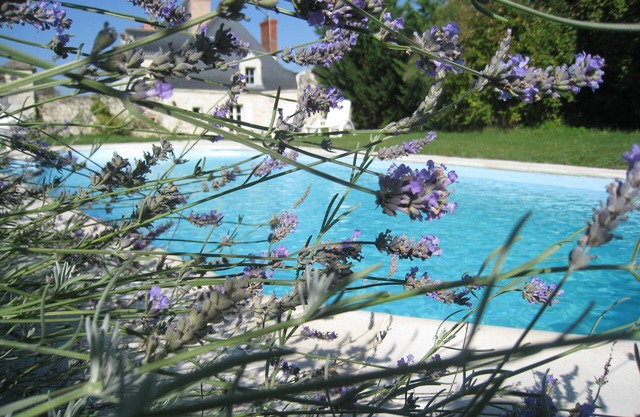 Le PetitPavillon in the Loire Valley