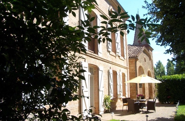 Le Platane