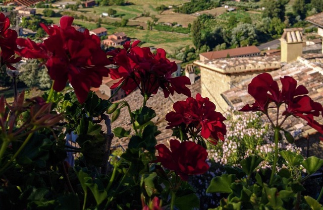 LE ROCCHE - Under the Castle, ZAFFIRO Apartment with SPA and Black River view