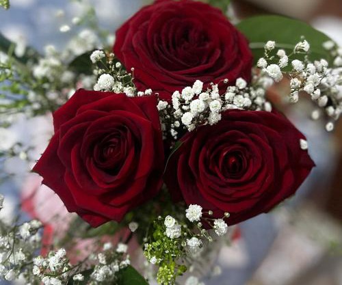 Le Rose di Angela