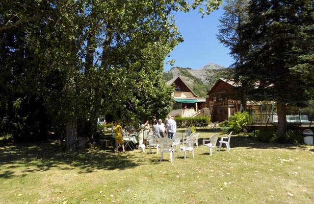 Le Vieux Tilleul