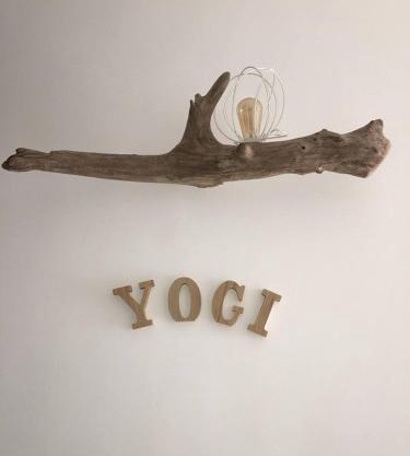 Le Yogi