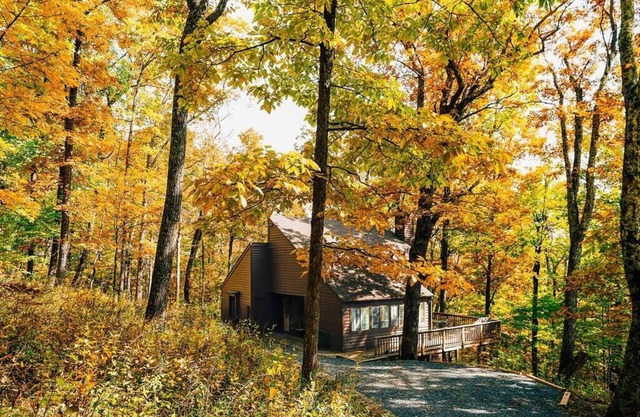 Leaf-Peeping at Oak Ledge! Trails+Tastings+Peace