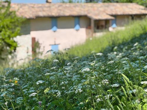 LeCannelleAgriBenessere