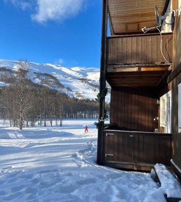 Leilighet med fin uteplass!