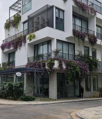 LEO HOMESTAY