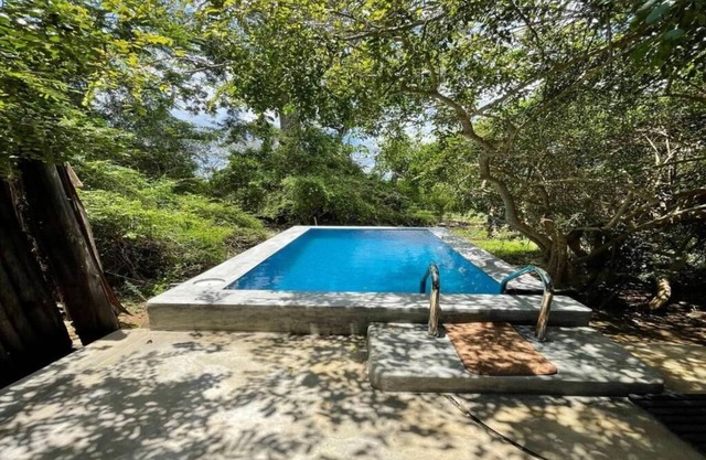 Leopard Trails Yala