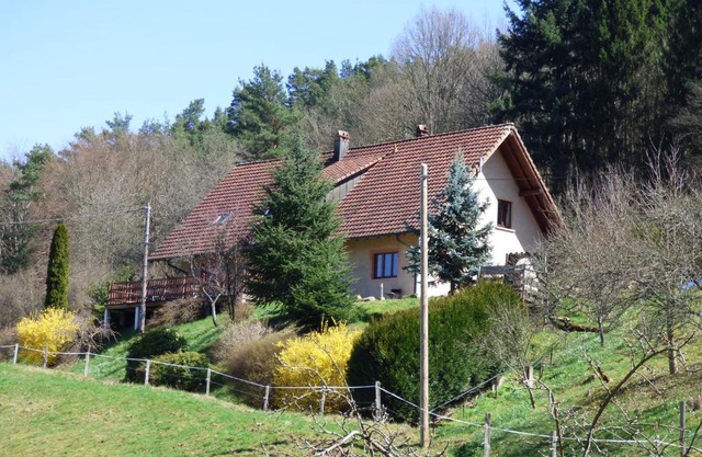 Les Cerisiers