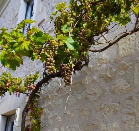 Les Chambres de Nelly