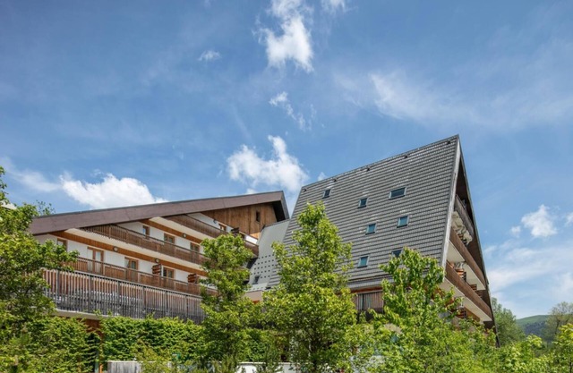 Les Gentianes S2p - Studio Apartment, Sleeps 2