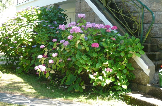Les Hortensias, 3 bedrooms. Large garden, enclosed parking. Near Carnac, Lorient.