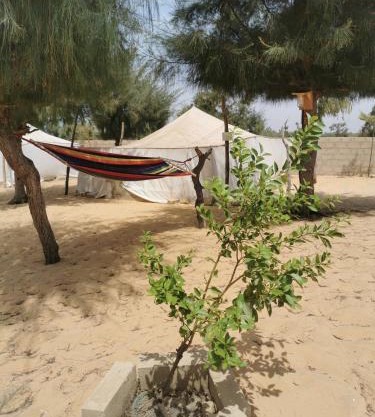 Les jardins fleuris de lompoul sur mer