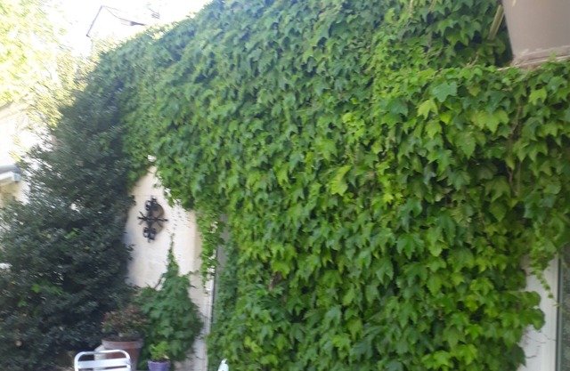Les Rogelins, cottage