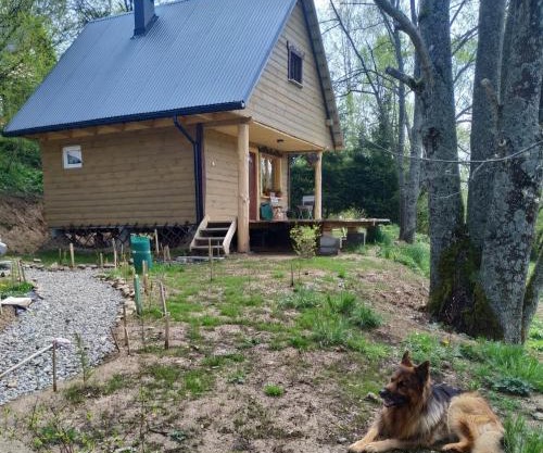 LESZCZYNOWY STOK