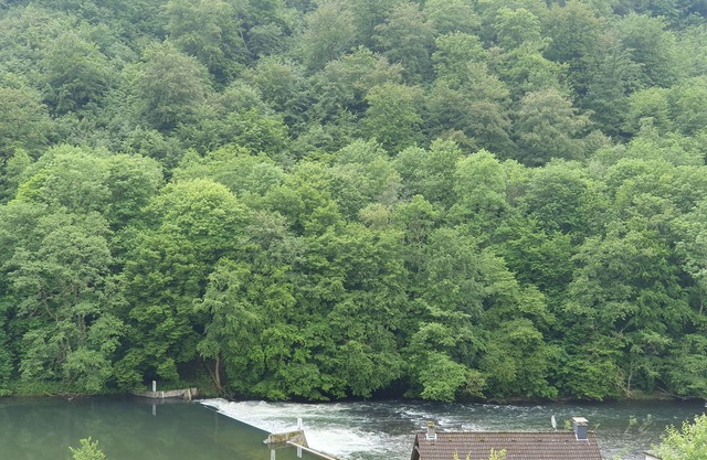 Liebevoll Eingerichtete Ferienwohnung am Fluss in Beliebtem Wandergebiet