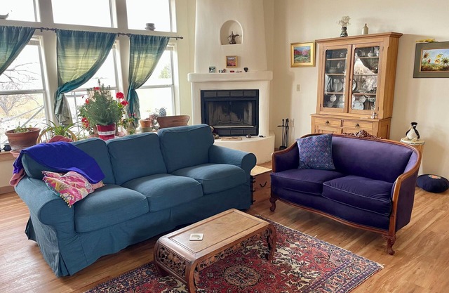 Light-Filled Spacious Home with Cat. Sleeps 4 adults + kids. Beautiful nature.