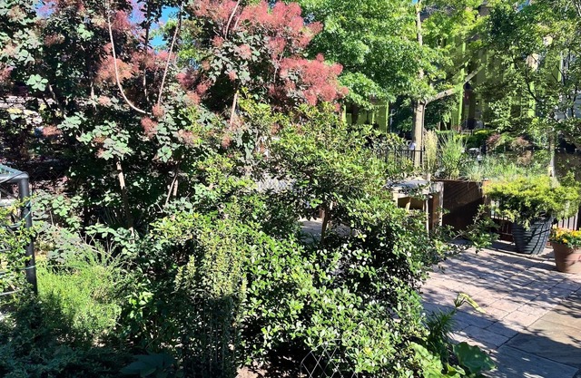 Light-filled spot; perfect location