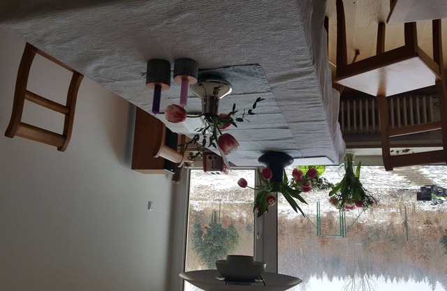 Lightfilled familyfriendly house with big garden