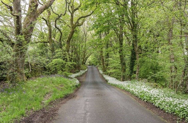 LILAC COTTAGE, pet friendly, character holiday cottage in Grizebeck