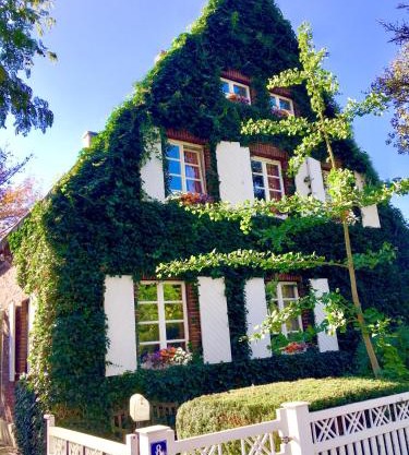 Lilis kleines Hotel