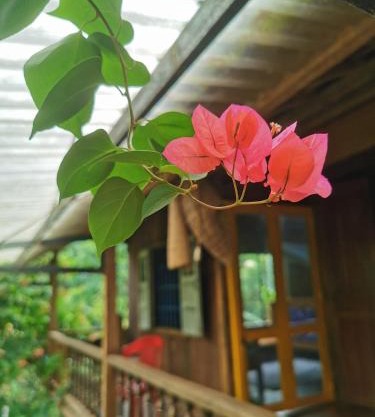 Lily's Stone Garden Farmstay
