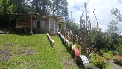 Linda Vista Los Pinos Cabaña
