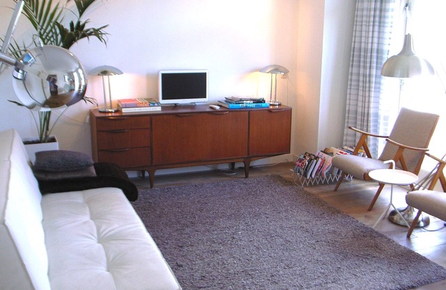 Linnaeussuite, award winning stylish design apartment with roof terrace