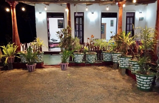 Lions Gate Homestay