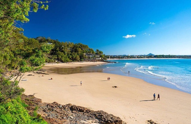 Little Cove Gem - Tristania1