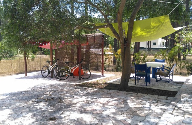 Little Leisure House - Amazing Leisures, AL
