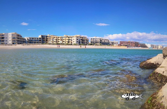 Little paradise T2 Sea view terrace Comfort 2* for 2 adults and 2 kids. Garage