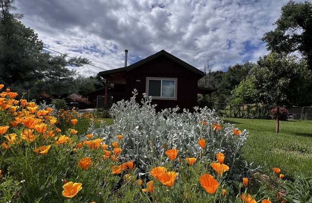 Little Red House Cute, Cozy, Rustic Home in Historic ShastanWhiskeytown Lake