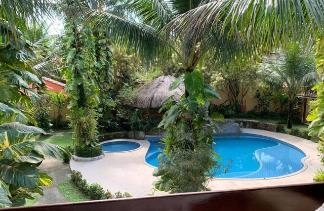 Little tropical paradise