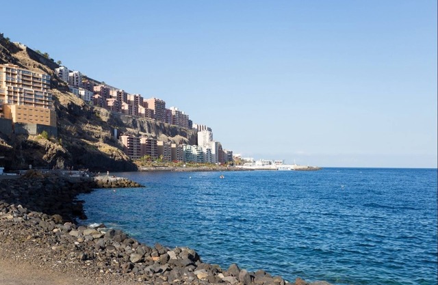 Live Tabaiba Maritime Avenue