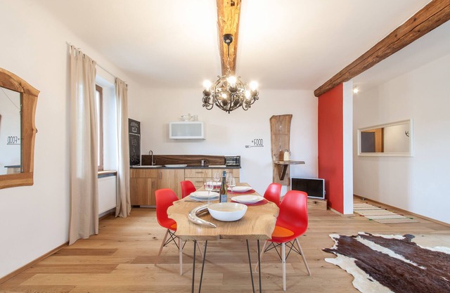 Living at the Schlossberg Giraffe
