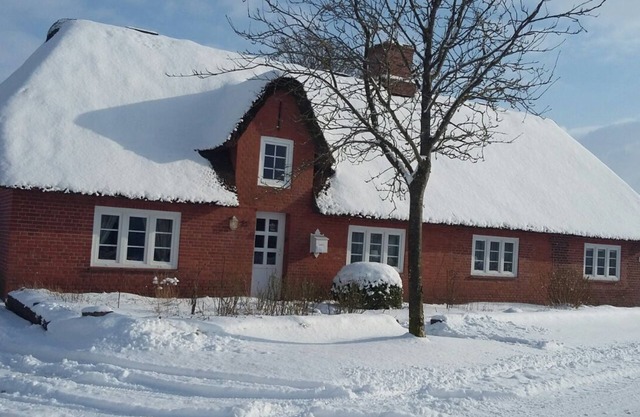 Living under a thatched roof, beautiful granny apartment near the North Sea