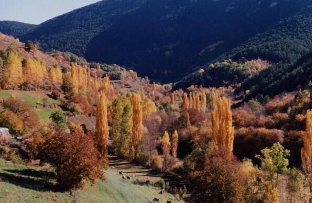 lo pallé de lime bosch magnificent Pyrenees cottage 12 km from Sort