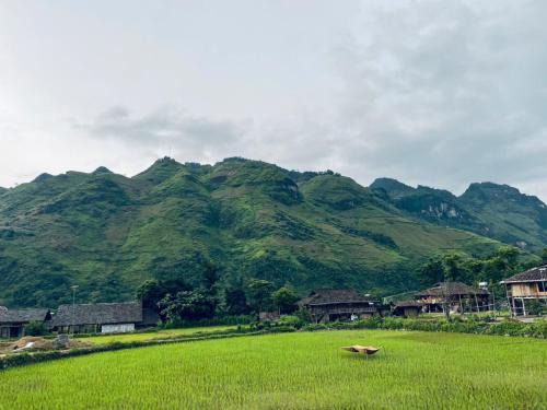 Local Homestay Du Gia