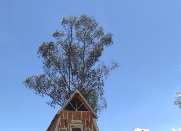 LODGE DAVANY-GLAMPING