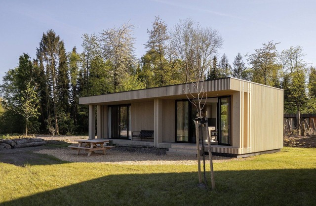 Lodge in Netherlands with Luxury Deck Terrace