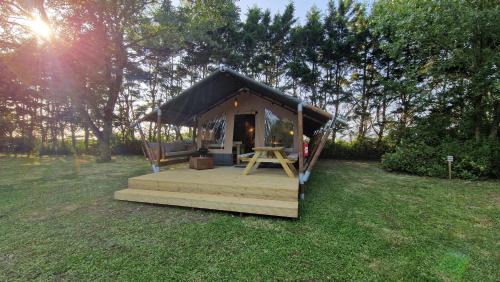 LODGE Premium