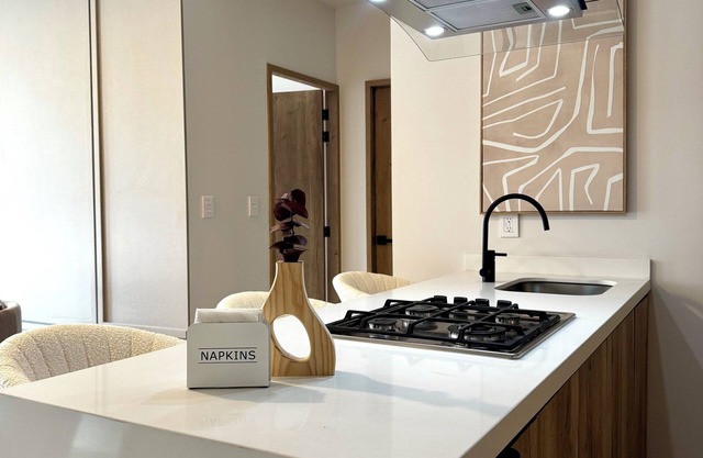 Loft Modern American Americana Chapultepec Pool Wifi AC Gym Parking