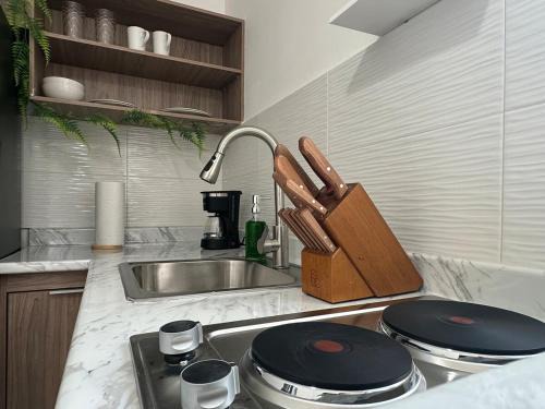 Loft Montecarlo