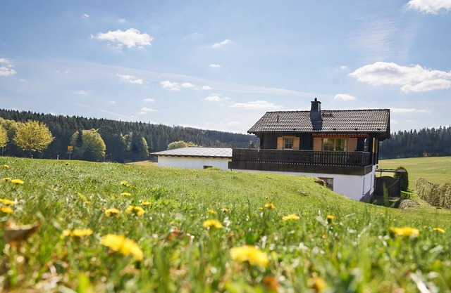 Log cabin flair in the middle of mountain meadows and forest, huge terrace and garden