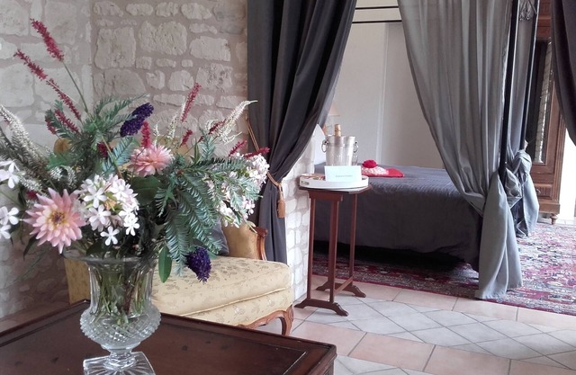 Loire Valley: Chateau de Bournand, nine acres park with pool, up to 18 guests
